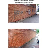 Graffiti removing and protection - Romania